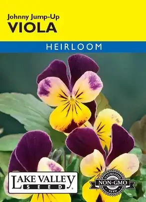 VIOLA JOHNNY JUMP-UP