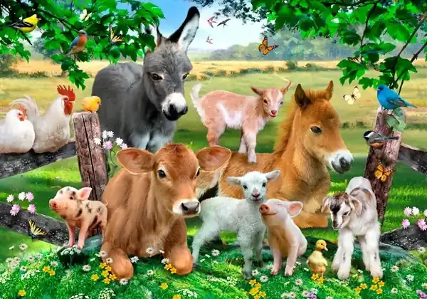 WOODEN CITY PUZZLE FARM KINDERGARTEN MEDIUM